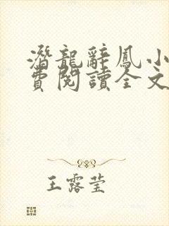 潜龙辞凤小说免费阅读全文最新章节封面