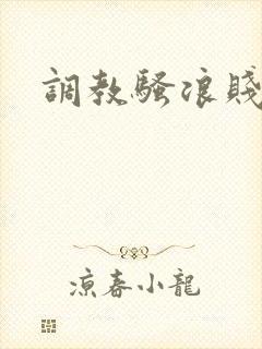 调教骚浪贱母狗