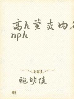 高h荤爽肉欲文nph