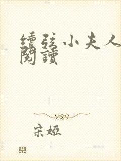 续弦小夫人在线阅读