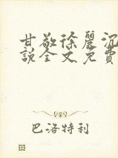 甘敬徐丽沉沦小说全文免费阅读