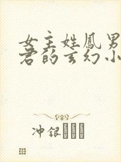 女主姓凤男主姓君的玄幻小说