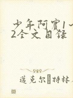 少年阿宾1～72全文目录