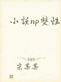 小说np双性h封面
