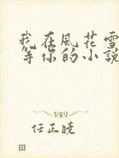 我在风花雪月里等你的小说