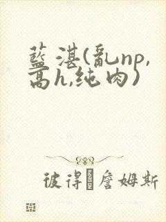 蓝湛(乱np,高h,纯肉)