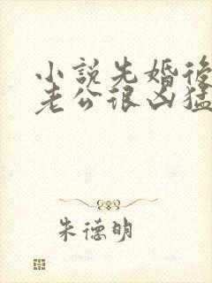 小说先婚后爱:老公很凶猛免费阅读