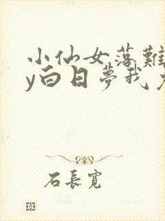 小仙女落难记by白日梦我免费阅读全文