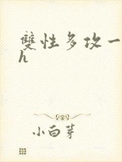 双性多攻一受高h