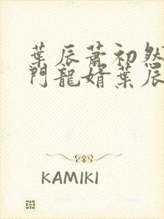 叶辰萧初然 上门龙婿叶辰大结局