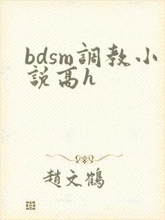 bdsm调教小说高h