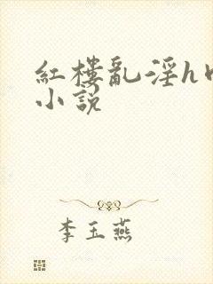 红楼乱淫h肉版小说