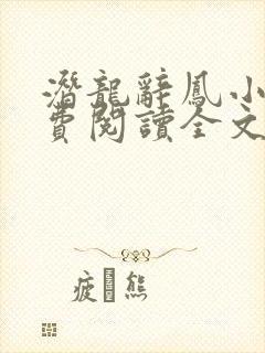 潜龙辞凤小说免费阅读全文最新章节封面