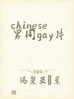 chinese男同gay片