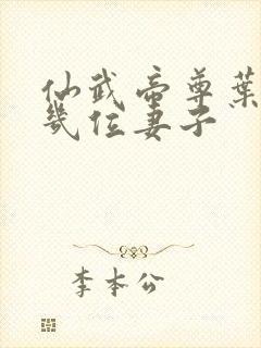 仙武帝尊叶辰有几位妻子