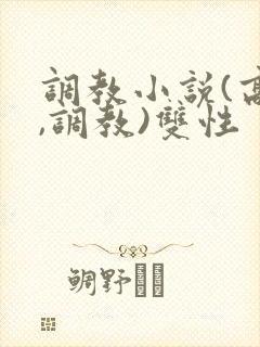 调教小说(高h,调教)双性