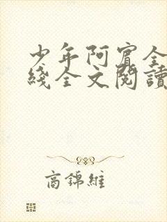 少年阿宾全文在线全文阅读