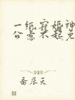 一纸宠婚神秘老公惹不起免费阅读