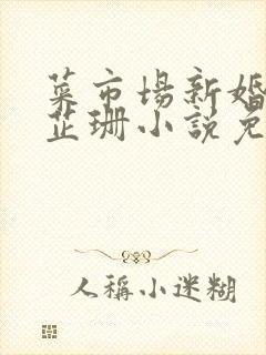 菜市场新婚妻子芷珊小说免费阅读封面