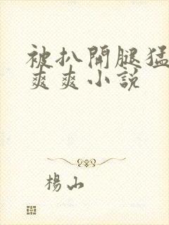 被扒开腿猛进入爽爽小说