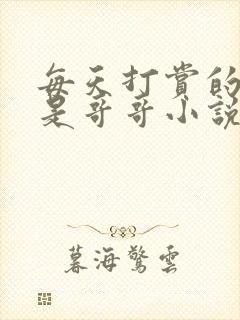 每天打赏的主播是哥哥小说