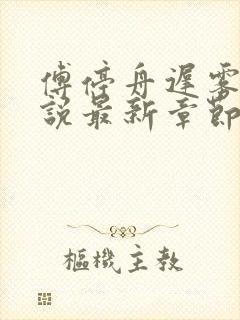 傅停舟迟雾眠小说最新章节