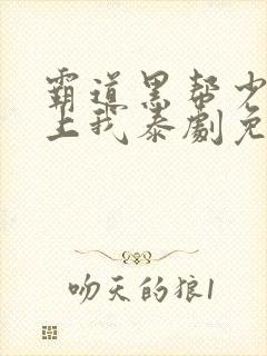 霸道黑帮少爷爱上我泰剧免费观看全剧