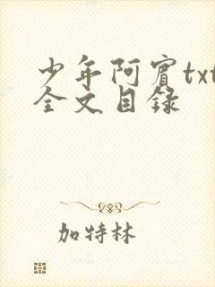 少年阿宾txt全文目录
