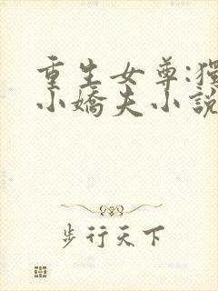 重生女尊:独宠小娇夫小说