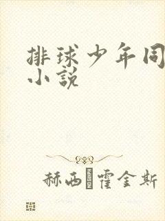 排球少年同人文小说封面