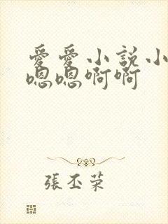 爱爱小说小姨妹嗯嗯啊啊