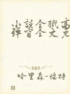 小说全职高手无弹窗全文免费阅读