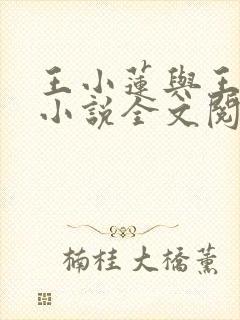 王小莲与王山炳小说全文阅读封面
