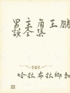 男主角王鹏的小说全集