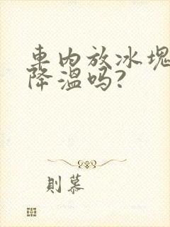 车内放冰块可以降温吗?