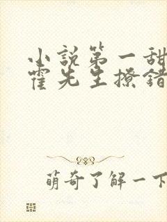 小说第一甜妻:霍先生撩错了