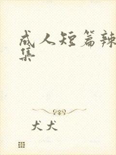 成人短篇辣文合集封面