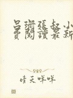 吕珊张叔小说免费阅读最新章节封面