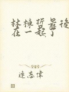 林栋哲最后和谁在一起了