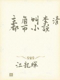 主角叫李清风的都市小说