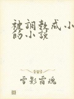 被调教成小母狗的小说