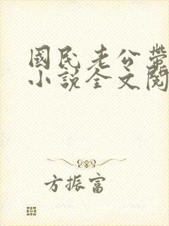 国民老公带回家小说全文阅读免费