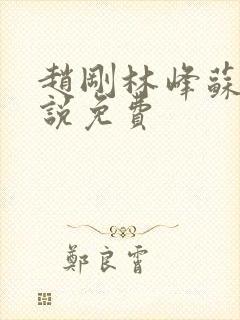 赵刚林峰苏柔小说免费