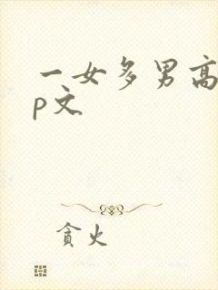 一女多男高hnp文封面