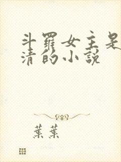 斗罗女主是朱竹清的小说