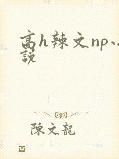 高h辣文np小说