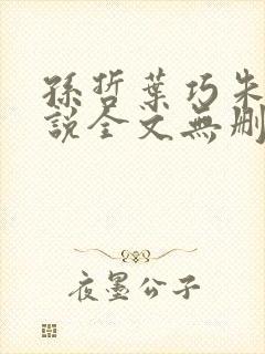 孙哲叶巧朱颜小说全文无删减免费阅读