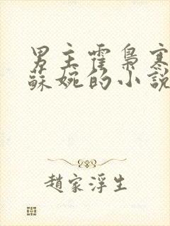 男主霍枭寒女主苏婉的小说