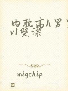 肉耽高h男男1v1双洁