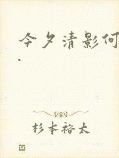 今夕清影何处寻.